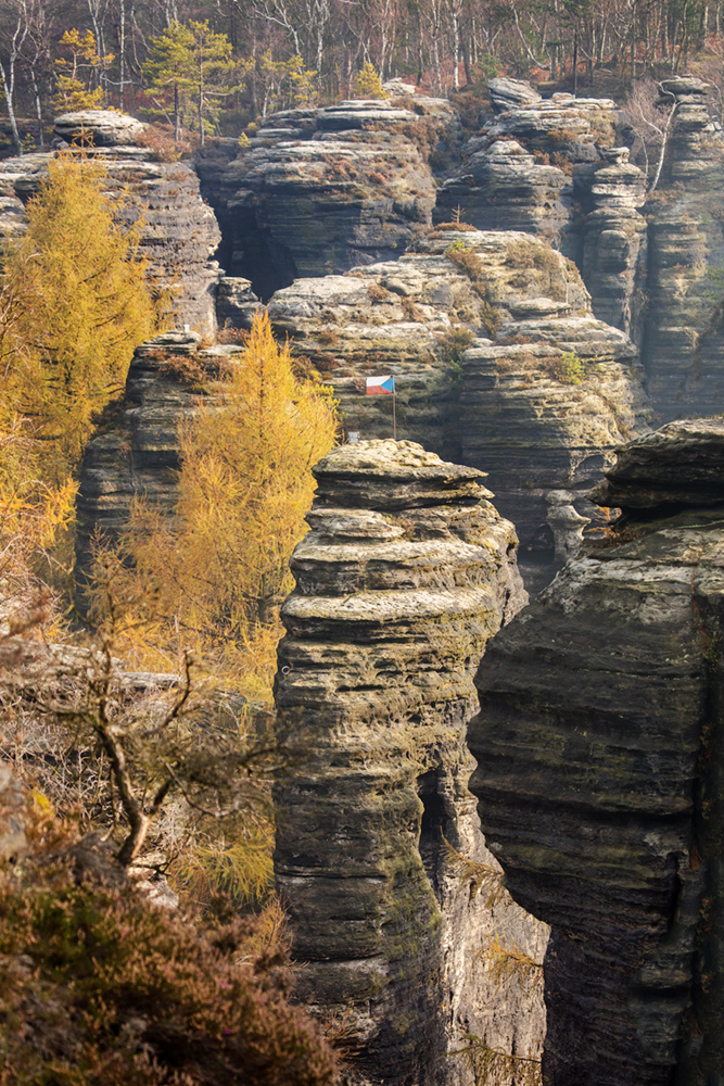 015A0931 015A0931