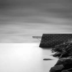 D5A0873_1000