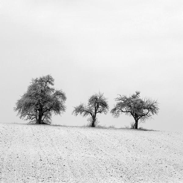 _D5A9488.jpg
